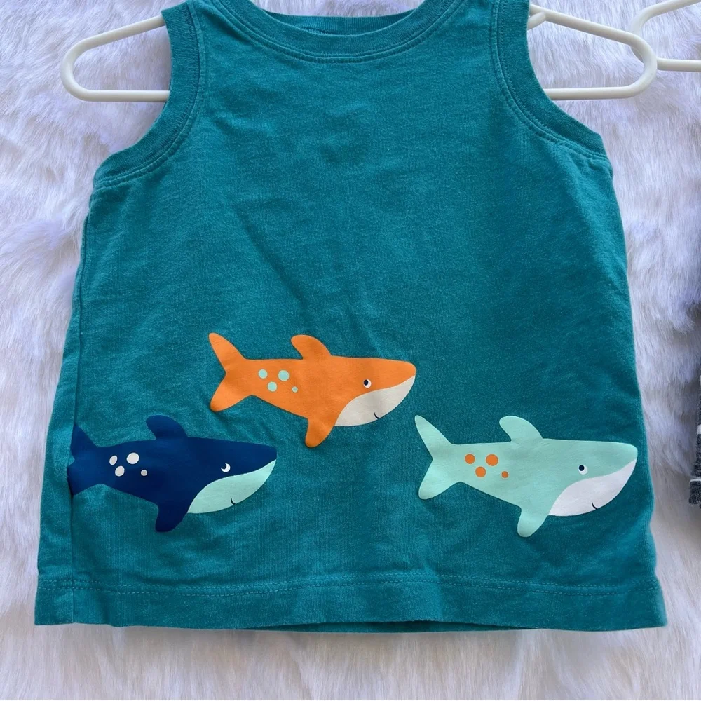 Carter's baby Boy‎ 2 pieces set size 18